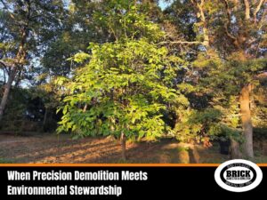 When Precision Demolition Meets Environmental Stewardship