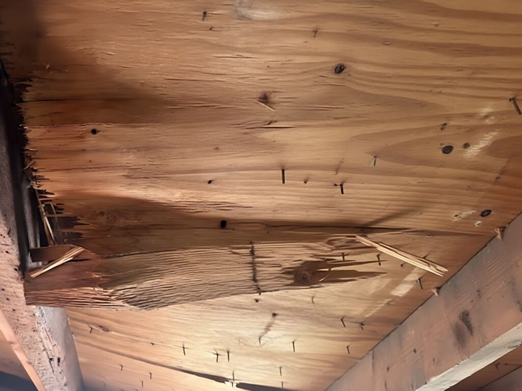 Asbestos Wall Plaster & Lathe Removal in a 250-Year-Old Historic Princeton Home 7
